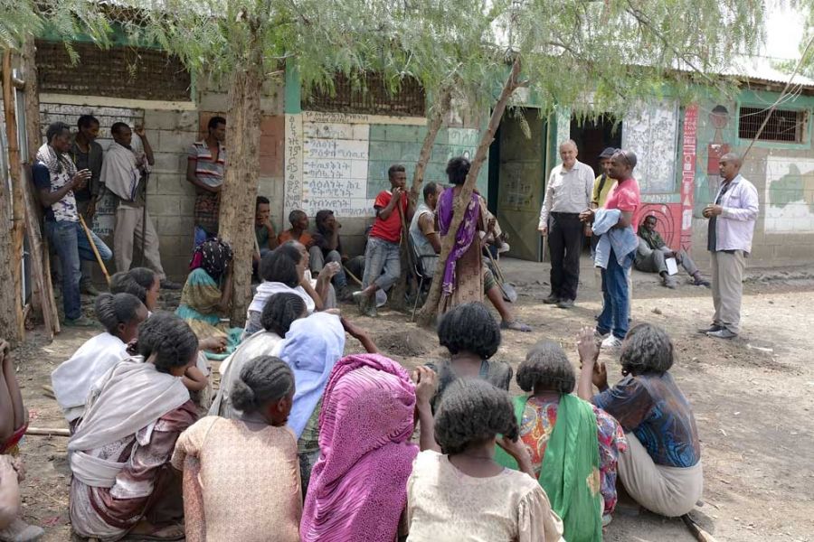 äthiopische Schuleltern pflanzen Bäume und Sträucher im Schulgelände